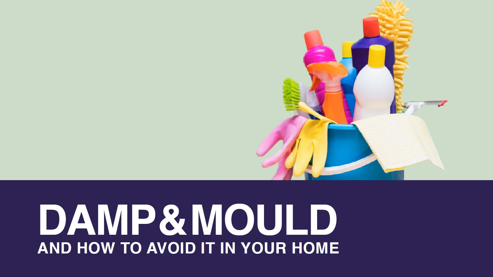 Landlord Help - What is damp & mould and how to deal with it! 